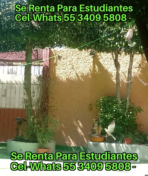 Busco alquiler para estudiantes; donde rentan los estudiantes; alquiler para estudiantes; en donde rentan los estudiantes; 