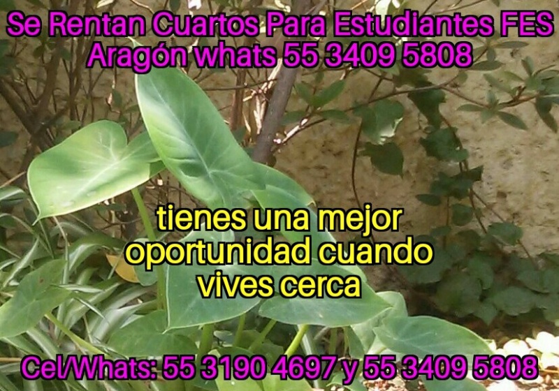 Fes aragon; nuevo ingreso cuartos estudiantes; fes aragon nuevo ingreso; departamento estudiantes; recamara estudiantes; habitacion estudiantes; dormitorio estudiantes;